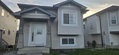 house for rent taradale northeast