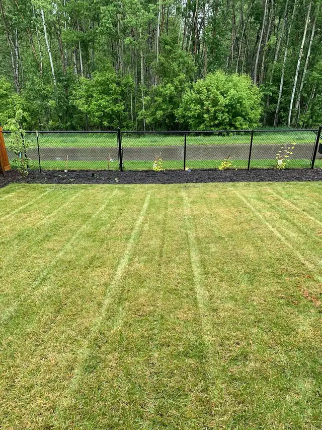 city wide lawn care maintenance 62863719103106121