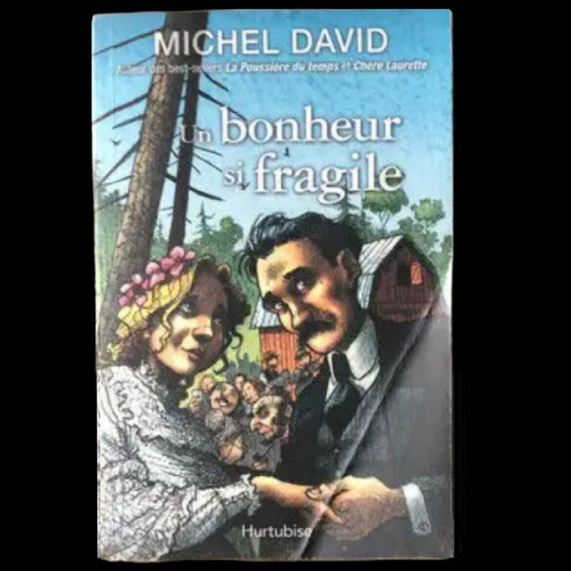 4 livres romans historiques ''Un Bonheur si fragile'' de M David dans Ouvrages de fiction  à Saint-Hyacinthe - Image 2