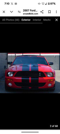 Mustang stripes 