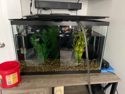 29 Gallon tank, View more