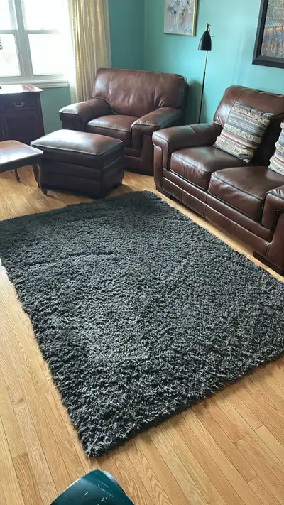 5’ x 7’ Shag Rug, View more