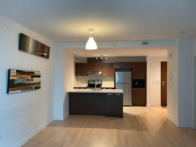 Fantastic One Bedroom Apartment Near metro Angrignon for May
