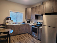 1 bed 1 bath Fully Furnished Upper College Heights Prince George