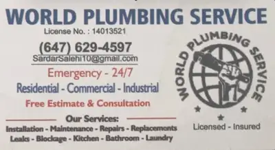 WORLD PLUMBING SERVICES, View more