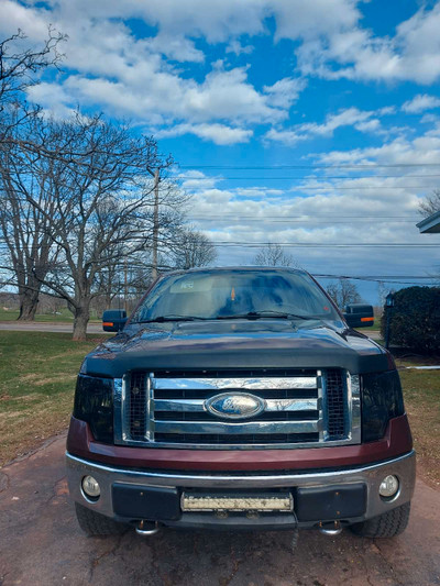09 ford f150