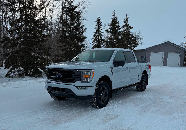 2021 Ford F150 XLT FX4 302A Space White Metallic in Cars & Trucks in Regina - Image 2
