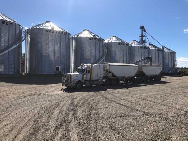 Grain Farm Equipment Operator in General Labour in Edmonton - Image 2