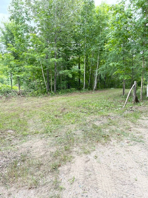 34 Acres - Terrain boisé / Wooded Land in Land for Sale in Gatineau