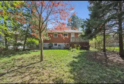 2 Bedroom Basement Apartment - Ground level Bangalow, View more