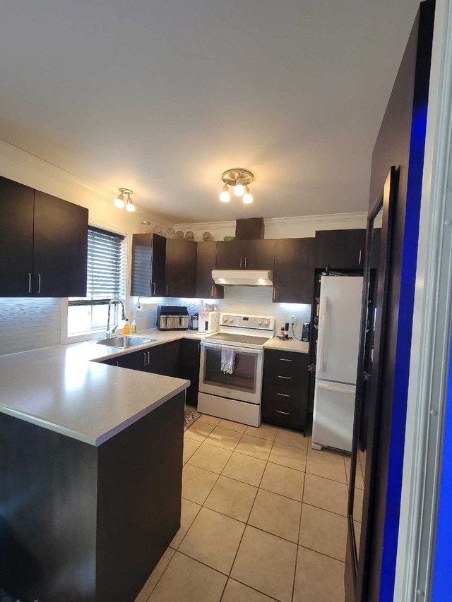 393 Av. Crépeau — photo 3