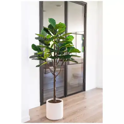➔ Adds a natural, welcoming touch to any space ➔ Lifelike shape with bendable leaves for a realistic...