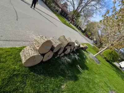 Clean Maple Wood Blocks / Offcuts – Great for Firewood, Crafting, View more