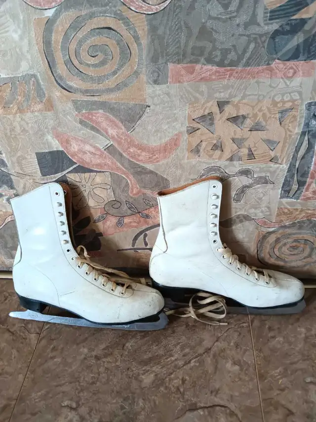 Skating Lessons64840296169730120