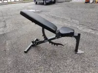 Northern Light Top of the Line Adjustable Bench workout exercise