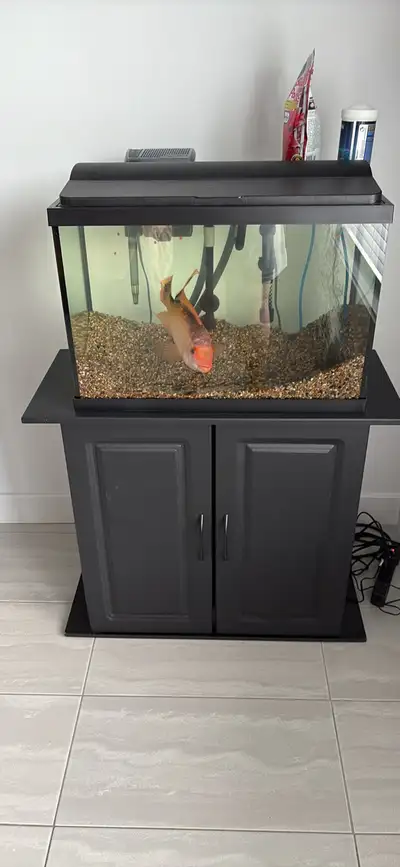 aquarium 20 gallons tout équipée , View more
