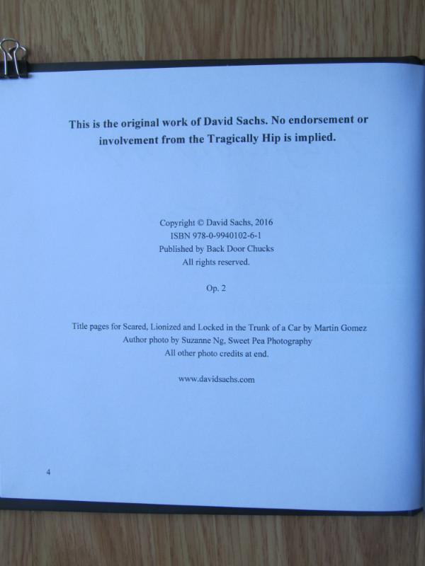 TRAGICALLY HIP, TWISTED by David Sachs – 2016 in Fiction in City of Halifax - Image 3