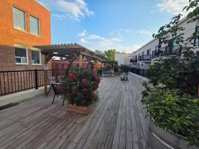 ANNONCE LOCATIVE – 1950 RUE DE CHAMPLAIN, H2L 2S8 Prix : 1 400 $ / mois. - juillet GRATUIT Contacter...