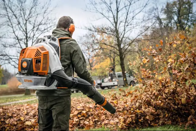 Leaf Cleanup, Leaf Removal, Fall Yard Cleanup & Lawn Care 