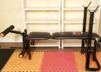 York Excercise Adjustable Bench Press and Leg Extension Home Gym