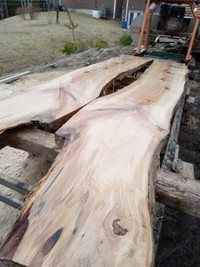 Live-Edge Maple Slabs - $90+