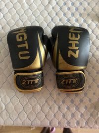 12 oz Boxing gloves 