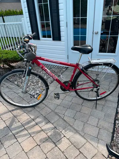 Vélo à vitesse incluant support à bagages, sac pour effets personnels, support pour bouteille d’eau,...