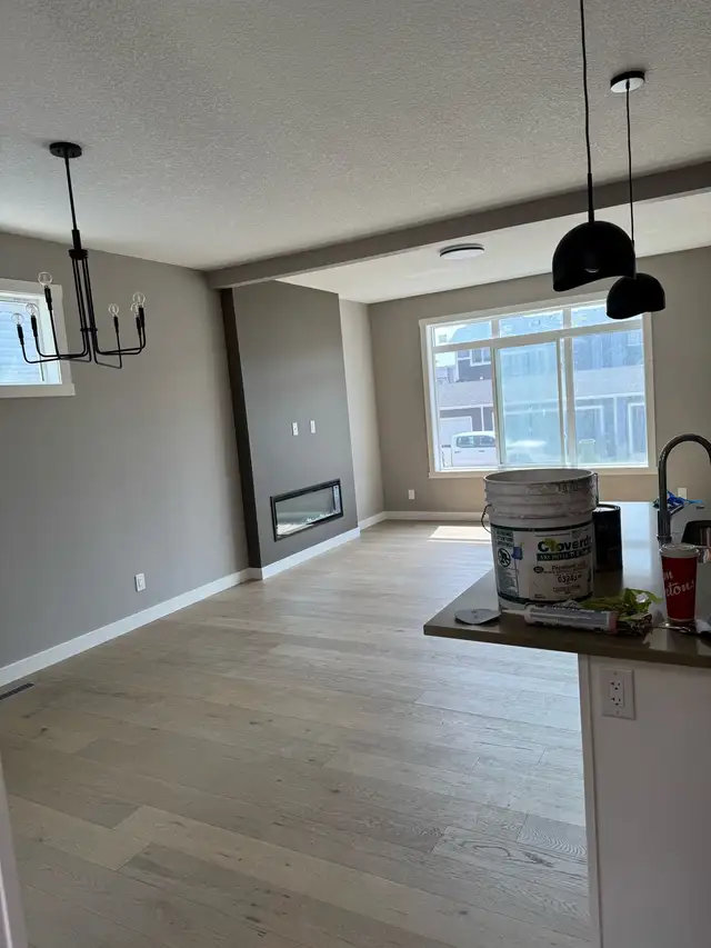 Professional Painter505382055162030083