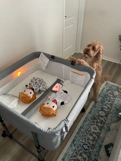 This portable twin crib is perfect for parents of multiples! It's in used, but good condition. It ha...