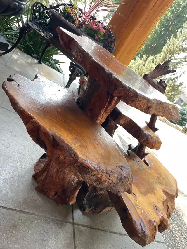 Unique Teak Root Display Stand in Outdoor Décor in Kamloops - Image 11