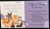PET CARE WITH TIFFANY!