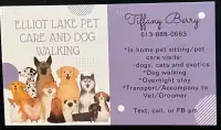 PET CARE WITH TIFFANY!