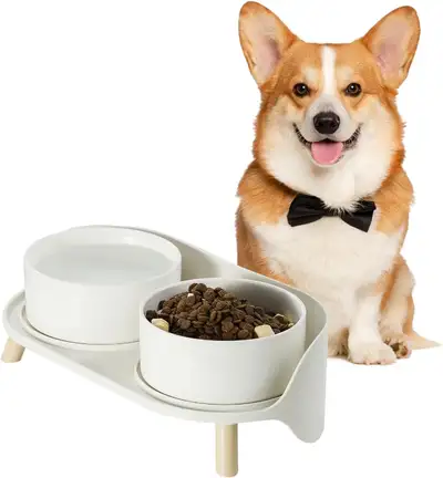 ❤️✅NEW IN BOX: Elevated Ceramic Dog Bowl Set, View more