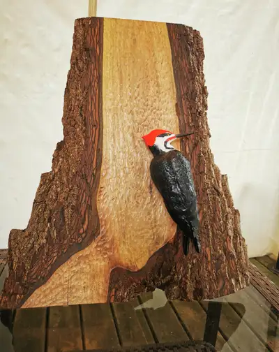 Pileated Woodpecker Sculpture on Live Edge Wood, View more