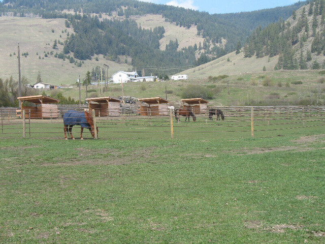 Horse Boarding in Vernon, BC in Equestrian & Livestock Accessories in Vernon