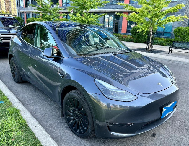 2023 Tesla Model Y Standard Range Immaculate very low mileage in Cars & Trucks in Mississauga / Peel Region - Image 3