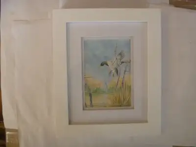 MALLARD Framed Original Artwork, View more