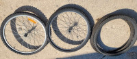 Bike Tires and Rims
