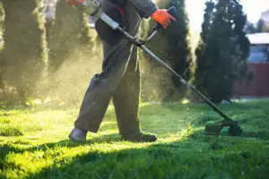 Lawn Care & Weed Control Services62864354599811122