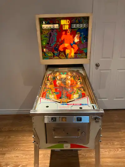 Pinball Machine for sale