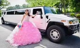 NIAGARA LIMO WINERY CASINO CLUB CONCERT GAME STRETCH LIMOUSINE, View more