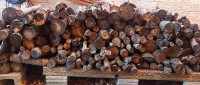 Cherry Firewood for BBQ smoker, Pizza Oven, Firepit