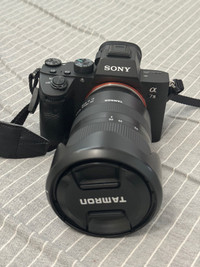 Mirrorless Sony a7iii with tamron 28-75mm f2.8