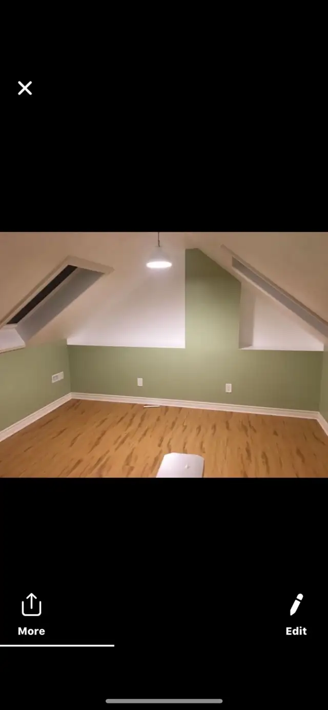 Painting Services. 498127976048906243