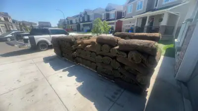 TWe dump out all extra sods $250