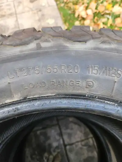 Older Bfgs 275/55/R20, still have some tread. $100 takes them obo