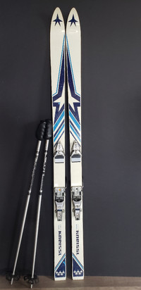 Vintage Kneissl Skis - Downhill 