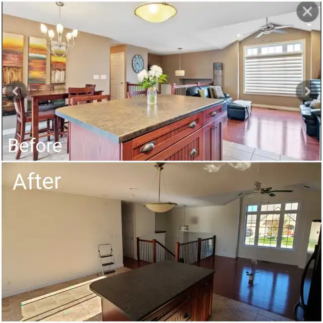 Professional Painter 482653092541911044