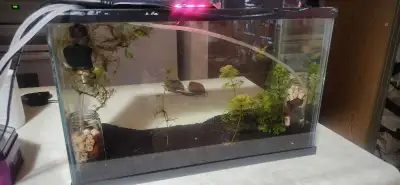 5.5 gallon Aquarium Ready to go with Heater Double filter Washed black sand with fluval bio stratum...