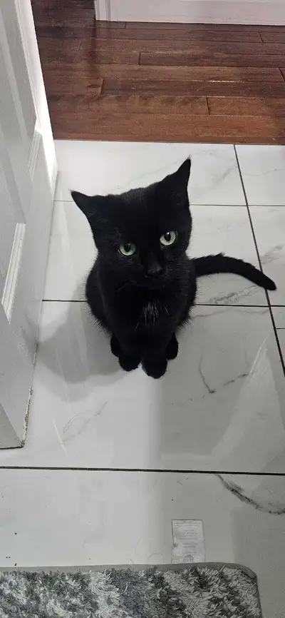 to a good home , View more